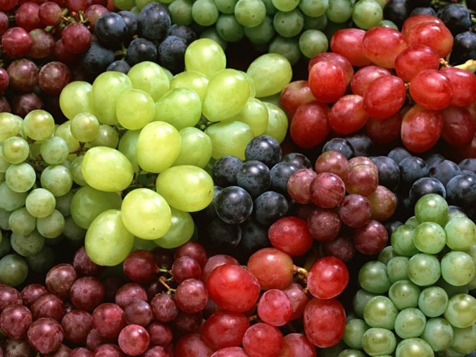copy-of-grapes-resveratrol